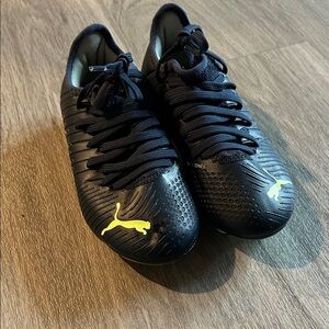 Puma with Vibrant Yellow Accents